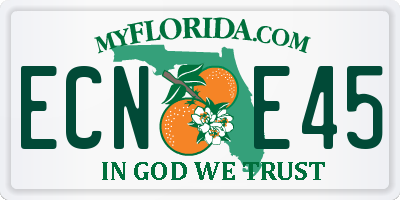 FL license plate ECNE45