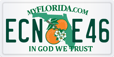 FL license plate ECNE46