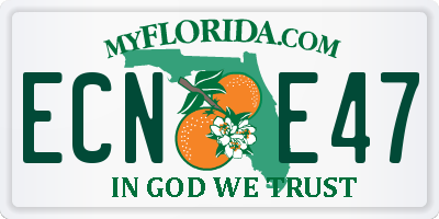 FL license plate ECNE47