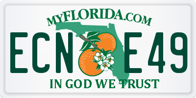 FL license plate ECNE49