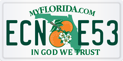 FL license plate ECNE53