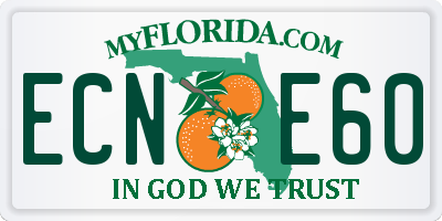 FL license plate ECNE60