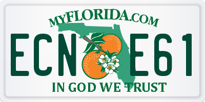 FL license plate ECNE61