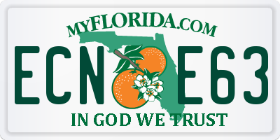 FL license plate ECNE63
