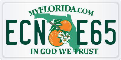 FL license plate ECNE65