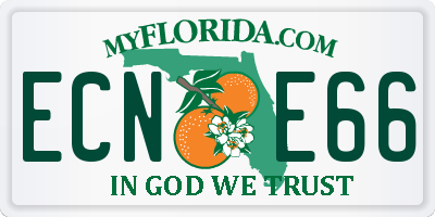FL license plate ECNE66