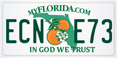 FL license plate ECNE73