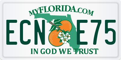 FL license plate ECNE75