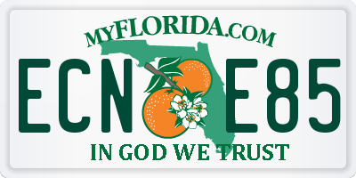FL license plate ECNE85