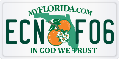 FL license plate ECNF06