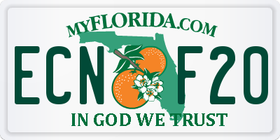 FL license plate ECNF20