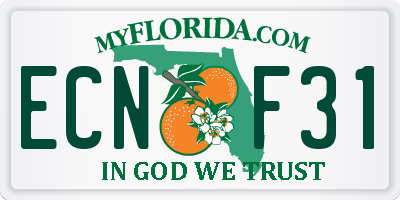 FL license plate ECNF31