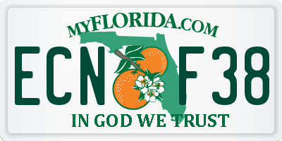 FL license plate ECNF38