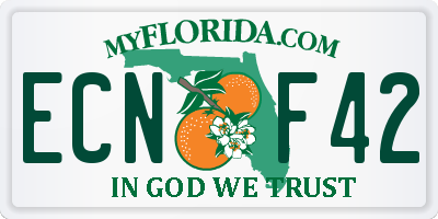 FL license plate ECNF42