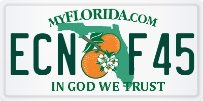 FL license plate ECNF45