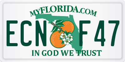 FL license plate ECNF47