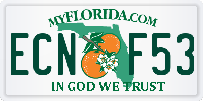 FL license plate ECNF53