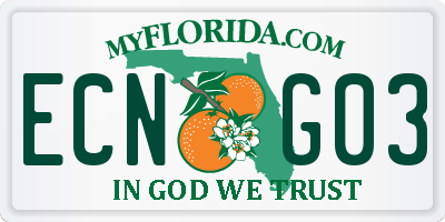 FL license plate ECNG03