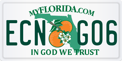 FL license plate ECNG06
