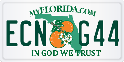 FL license plate ECNG44