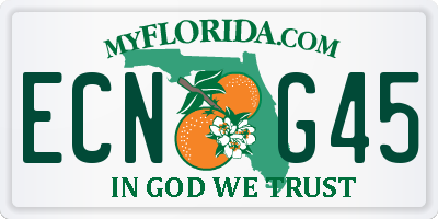 FL license plate ECNG45
