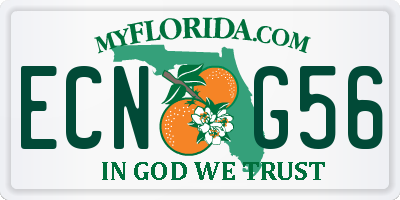 FL license plate ECNG56