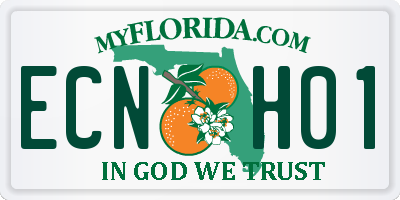 FL license plate ECNH01