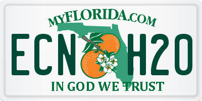 FL license plate ECNH20