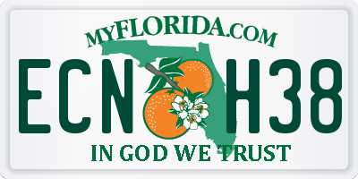 FL license plate ECNH38
