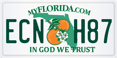 FL license plate ECNH87