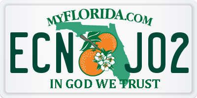 FL license plate ECNJ02