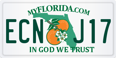 FL license plate ECNJ17