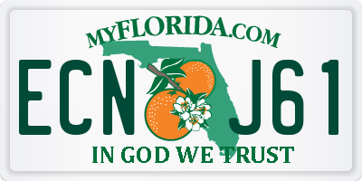 FL license plate ECNJ61