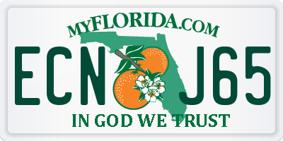FL license plate ECNJ65