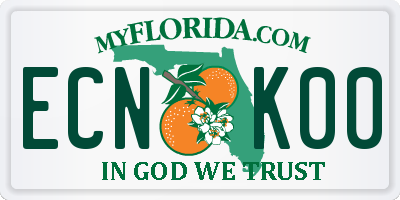 FL license plate ECNK00