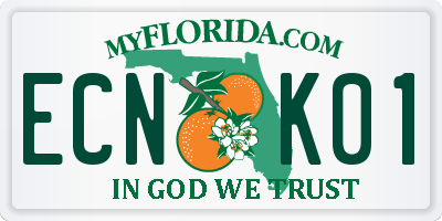 FL license plate ECNK01