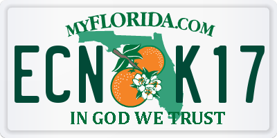 FL license plate ECNK17