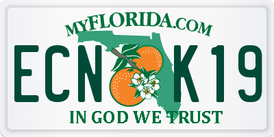 FL license plate ECNK19