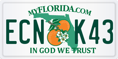 FL license plate ECNK43