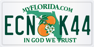 FL license plate ECNK44