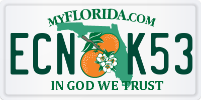 FL license plate ECNK53