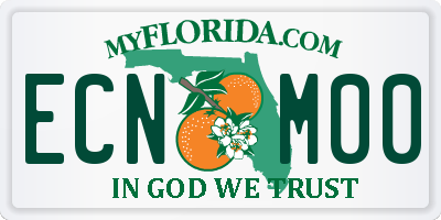 FL license plate ECNM00