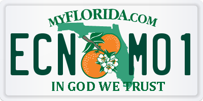 FL license plate ECNM01