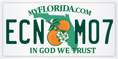 FL license plate ECNM07