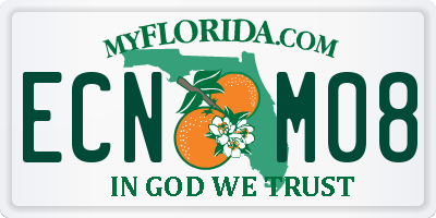 FL license plate ECNM08