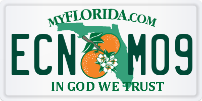 FL license plate ECNM09