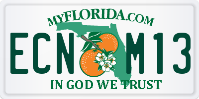 FL license plate ECNM13