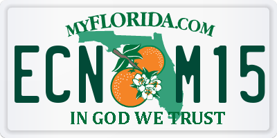 FL license plate ECNM15