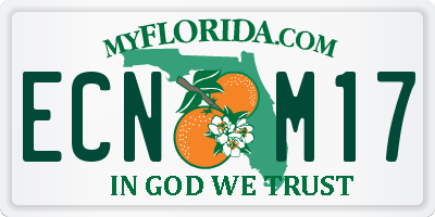 FL license plate ECNM17