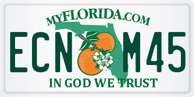 FL license plate ECNM45